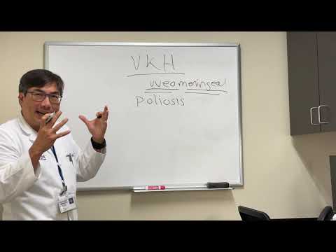 Video: Daim Tawv Nqaij Thiab Qhov Muag Mob Vim Yog Autoimmune Tsis Meej (Uveodermatologic Syndrome) Hauv Dev