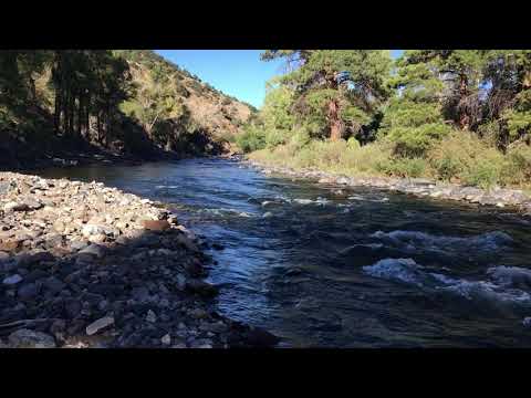 9/3/2020 Arkansas River Fishing Report - YouTube