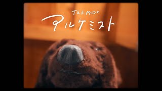 アルケミスト - TëKMO+ 【official music video】