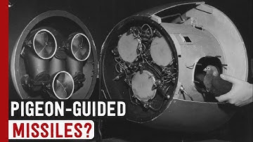 The Pigeon-Guided Missiles of WWII (Project Orcon)
