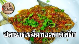 หิวมั้ย l ปลาจาระเม็ดทอดราดพริก l Deep – fried fish and chili sauce