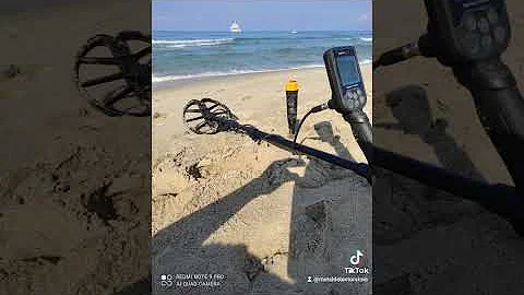 Chi possiede metal detector?