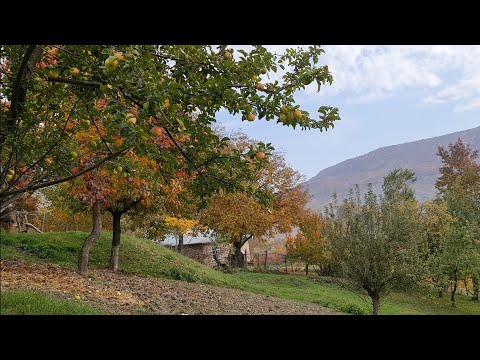 İsmayıllı rayonu Gözəl mənzərə. Kənd Həyatı. Zərnava kəndi