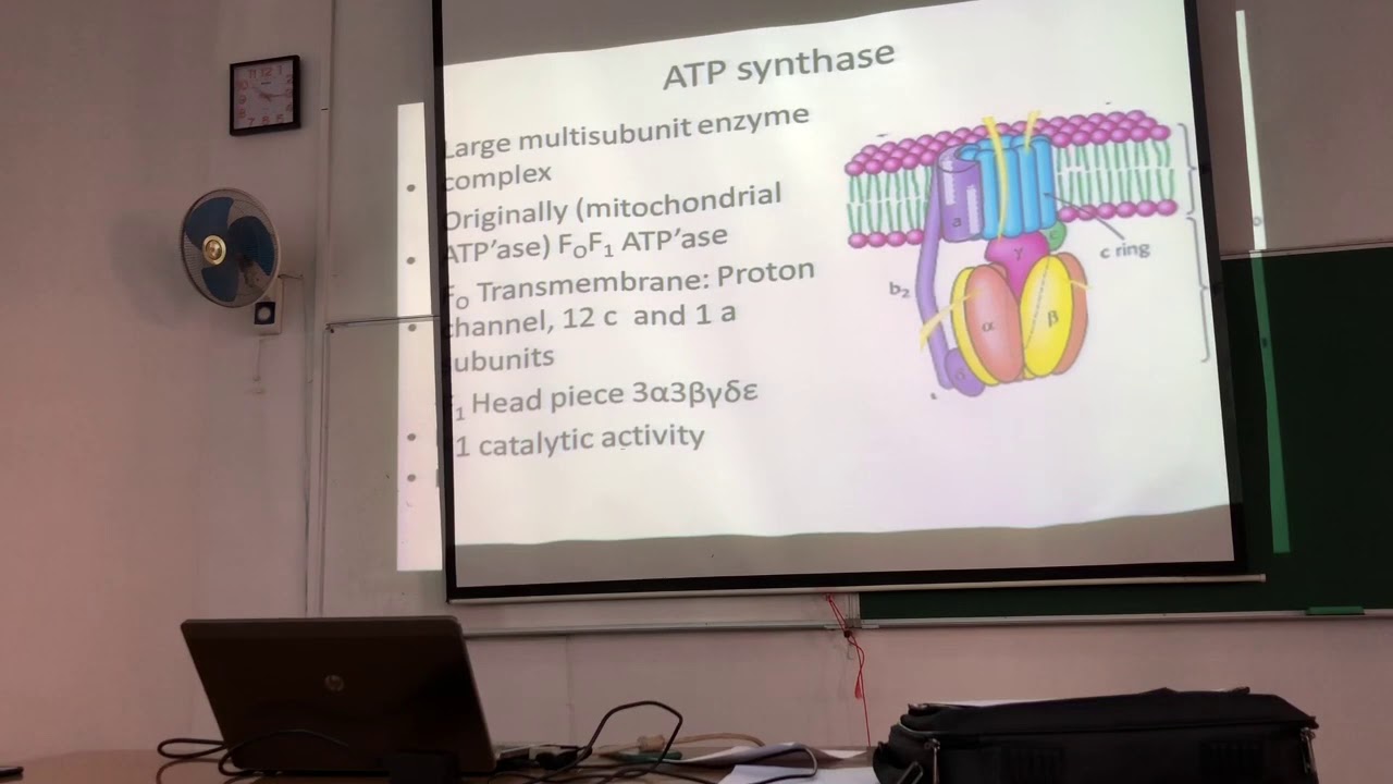 Lecture 13 - YouTube