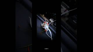 𝖤𝗄 𝖣𝖺𝗇𝗍𝖺𝗒 𝖵𝖺𝗄𝗋𝖺𝗍𝗎𝗇𝖽𝖺𝗒 𝗀𝗈𝗎𝗋𝗂 𝗍𝖺𝗇𝖺𝗒𝖺 𝗒𝖺𝖽𝗁𝗂 𝗆𝗁𝗂 𝗌𝗈𝗇𝗀 𝗌𝗍𝖺𝗍𝗎𝗌