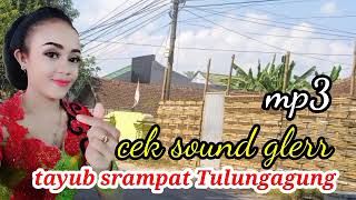 Download Lagu tayub srampat Tulungagung terbaru glerr MP3