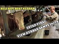 Beli sapi limosin buat kurb4n lebaran haji gadgetracing