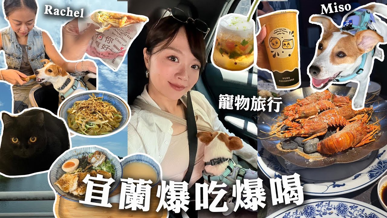 VLOG：宜蘭爆吃三天兩夜🐶/私藏的宵夜清單/無菜單海鮮餐廳🦞/寵物友善貓咪咖啡廳/網友推薦手搖飲｜tang_ful