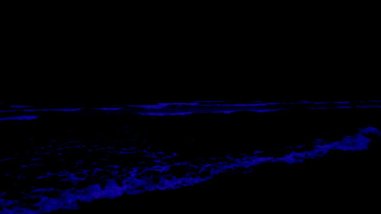 (No Ads) Ocean Sounds For Deep Sleep Adhd • Healing Ocean Waves Sounds For Deep Focus In Quiet Night