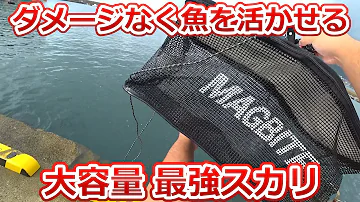 青物すかり