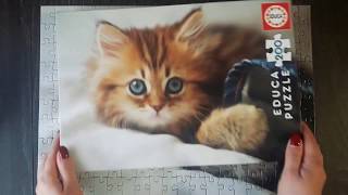 Пазл с котёнком 200 деталей (Jigsaw Puzzle-Kitten-Educa) пазлы для детей