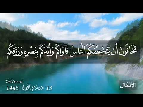 واذكروا إذ أنتم قليل مستضعفون في الأرض تخافون أن يتخطفكم الناس فآواكم وأيدكم بنصره ورزقكم من