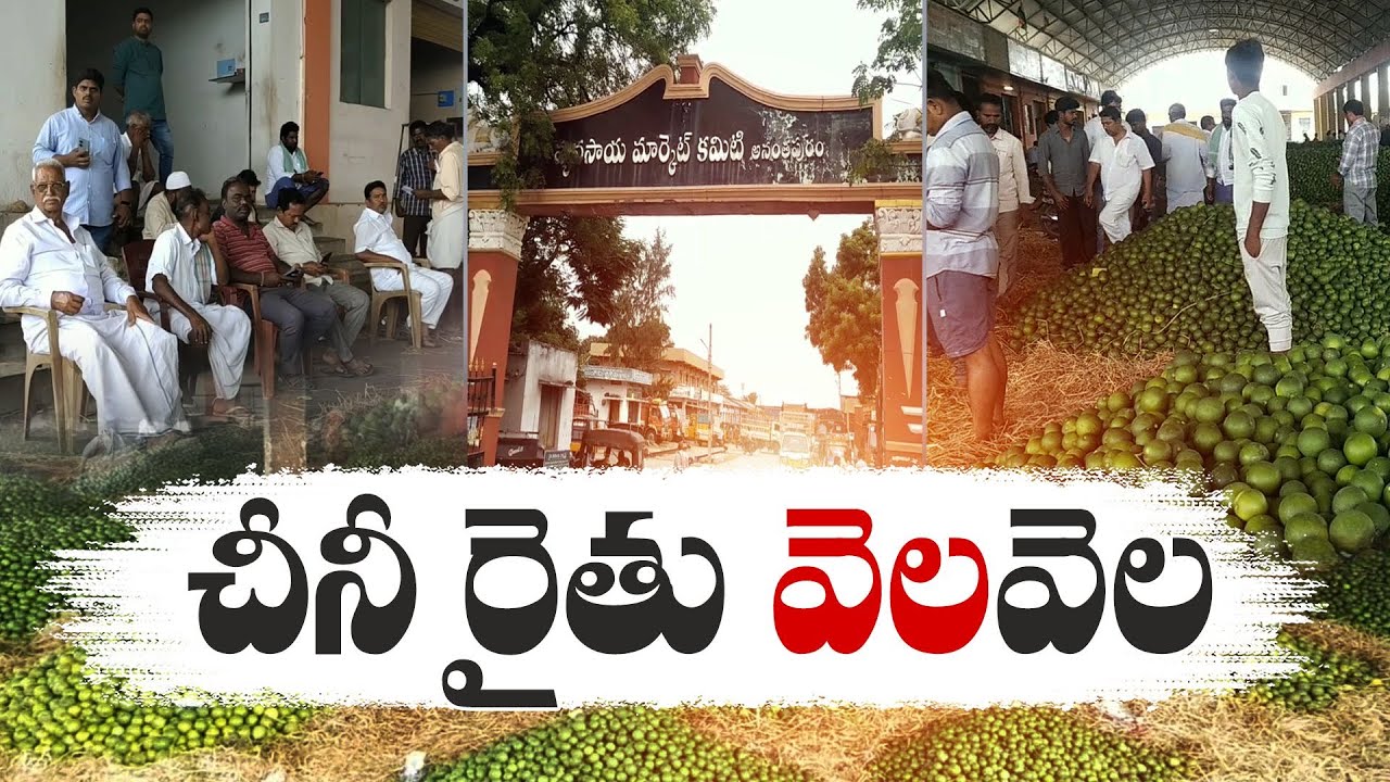 No MSP Rates For Mosambi Fruits | Injustice To Anantapur Farmers | With Mediators Influence