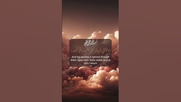 Surah Hud 11:88|سورة هُود.  #qurantranslation #quranverse #قرآن #المصحف #explore