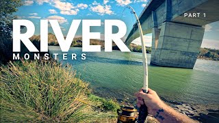 Fishing For River Monsters. EBRO revenge trip