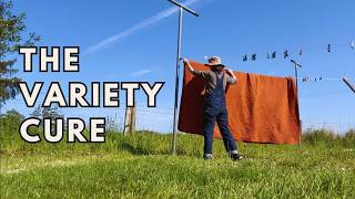 Variety is My Survival Strategy: A Glimpse into My Irish Life