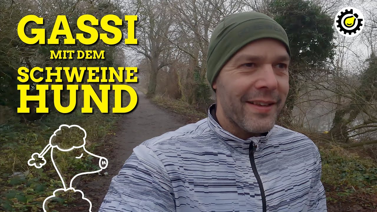 Lauf-Motivation: Gassi-Gehen mit dem inneren Schweinehund