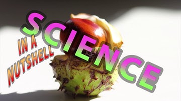 FUSES! HOW THEY WORK!