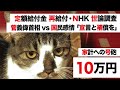 【特別定額給付金・NHK 世論調査 最新】菅義偉首相 VS 国民感情「2回目 緊急事態宣言・五輪中止・ワクチン接種」【支持率急落・再給付を】GoTo停止から追加予算1兆円の矛盾