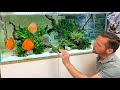 EXCLUSIVE TOUR - MD Fish Tanks - New Aquascape Studio