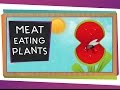 Meat-Eating Plants