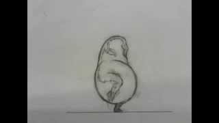 Dancing Floursack
