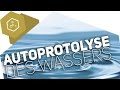 Autoprotolyse Von Wasser PH Und POH Wert