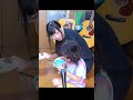 コレが我が家の日常です😇 #Shorts