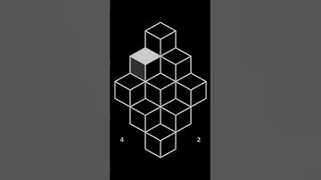 Black Level 42// Bart Bonte