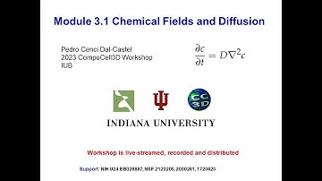 CC3D WS Module 3.1 Chemical Fields  [Pedro Castel] August 3 2023