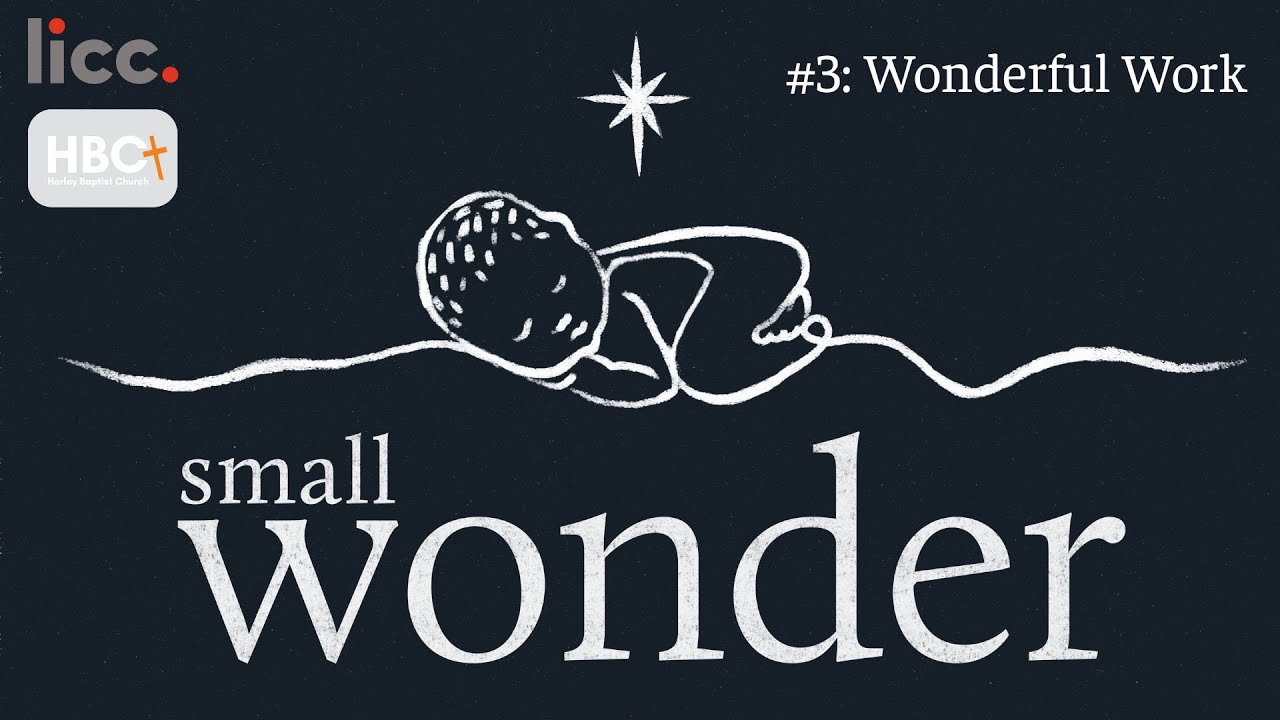Small Wonder #3 - Wonderful Work
