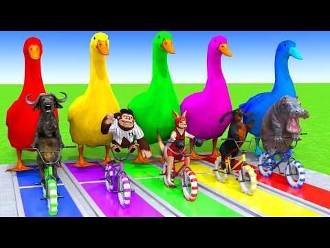 5 Giant Duck Cartoon,Cow,Elephant,Tiger,Dinosaur,Paint Wild Animals Crossing Fountain Animation #670