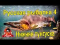 Русская рыбалка 4 Размот на нижней тунгуске  Ультралайт