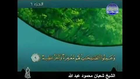 005 -- سورة المائده " الشيخ شعبان محمود عبد الله " مصحف تراويح 2016 بمد المنفصل " mohamed basyouni