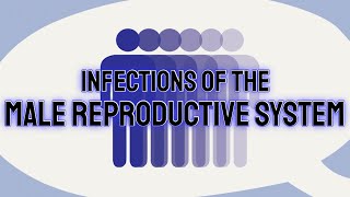 Infections Of The Male Reproductive System - Crash Medical Review Series