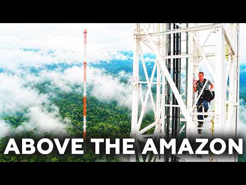 The 325 Meter (1,066 Feet) Tower Built Into the Amazon Sky