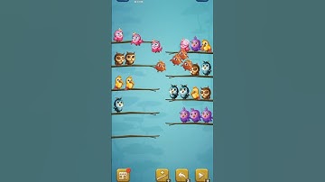 Bird sort - colour puzzle trailer game # Youtubeshots # shortsvideo #