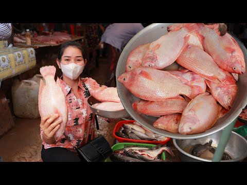 Vídeo: Salada Com Peixe Vermelho 