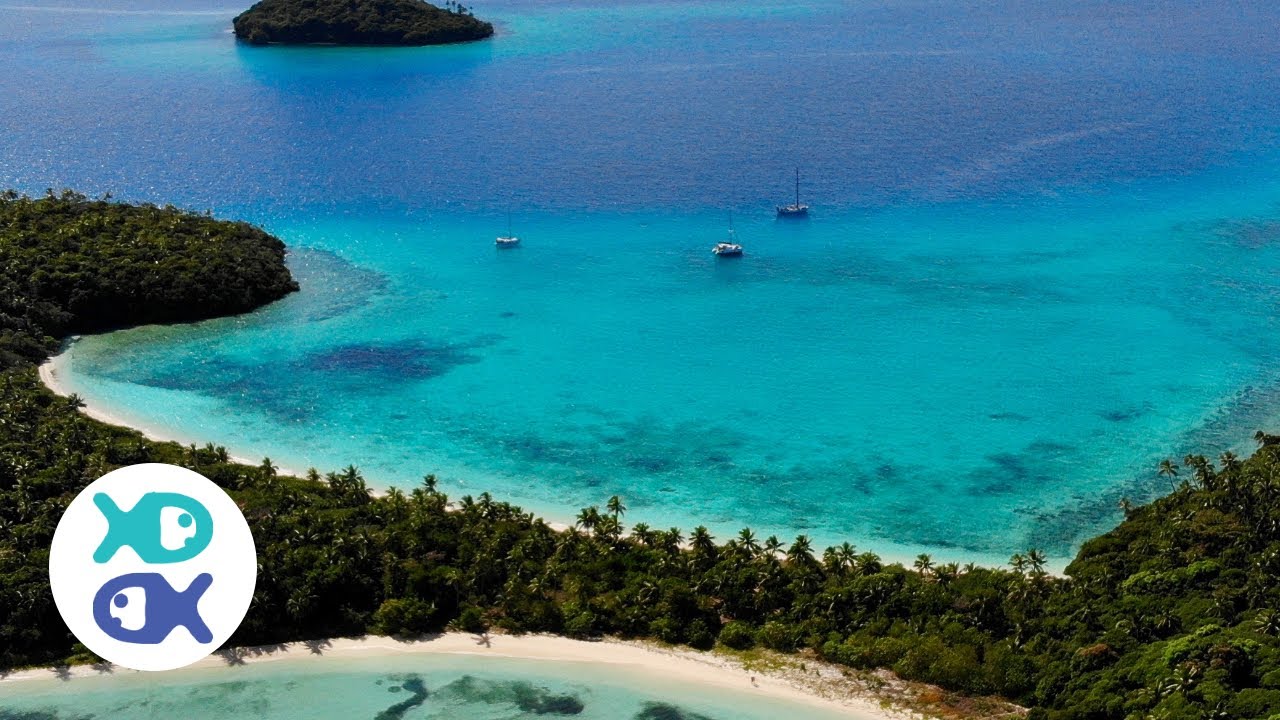 Farewell Tonga - The FINAL Countdown!! EP.23  || Sailing the South Pacific || Tonga