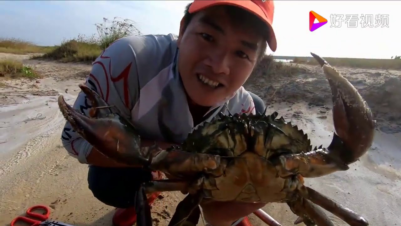 刀仔赶海挖洞掏出“青蟹王”,蟹钳比手臂还粗,发财了 - YouTube