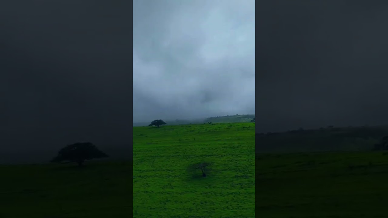 Discover Dhofar: Your Ultimate Summer Paradise Awaits! 🌿🌧️ 