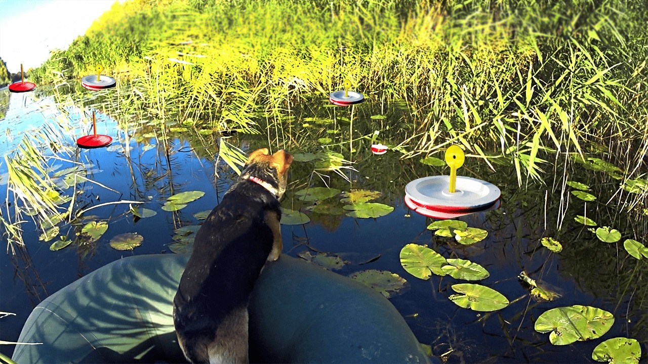 ЩУКА РАЗМЕРОМ С СОБАКУ!  ПОЙМАЛИ ОГРОМНУЮ ЩУКУ.