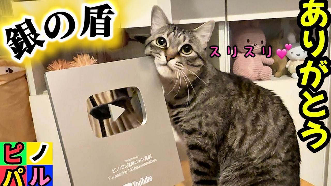 Perfect!! The silver plaque has become a favorite of my cat