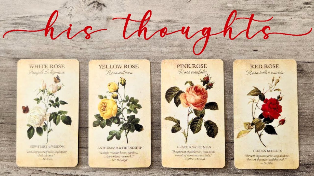 🌹 HIS THOUGHTS 🌹 Pick A Card Love Tarot