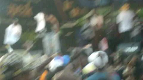 ck creole in the park 08