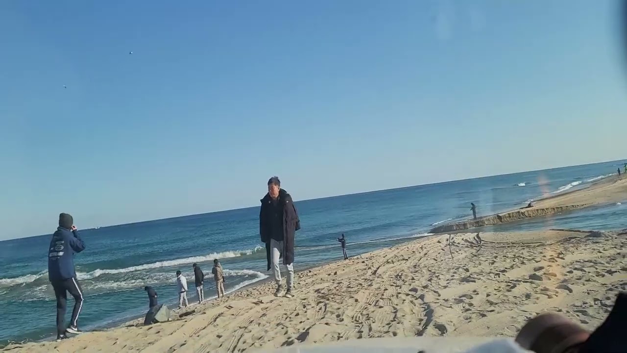 왕피천 멸치 투망상황 25년12월6일 하루종일