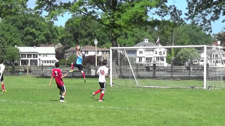 Will Landis Spring 2014 Goalkeeper Highlights