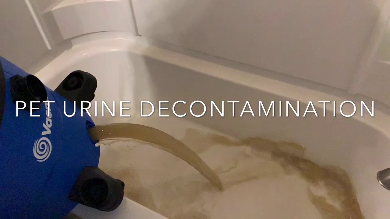 PET URINE DECONTAMINATION - YouTube