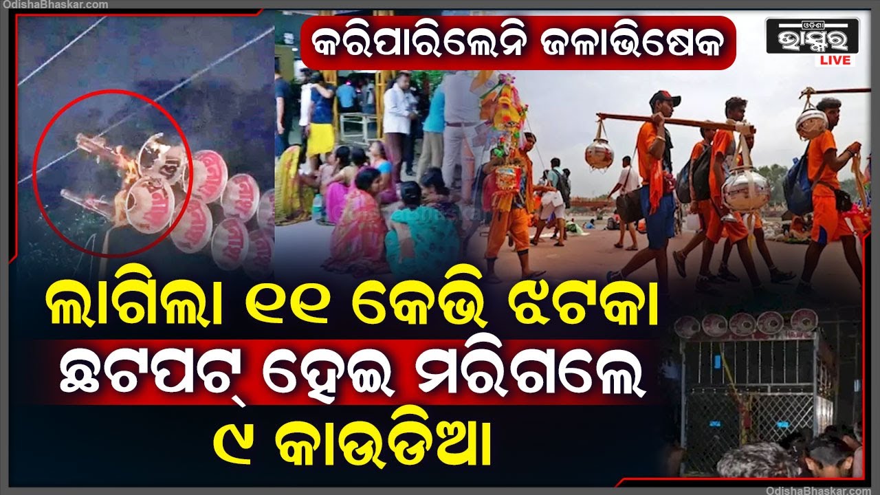 କାଉଡିଆଙ୍କ ପାଇଁ କାଳ ହେଲା ଡ଼ିଜେ ! ବିଦ୍ୟୁତ ଆଘାତରେ ଚାଲିଗଲା 9 କାଉଡିଆଙ୍କ ଜୀବନ