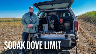 My First Dove Limit! - South Dakota Dove Hunting Day 2